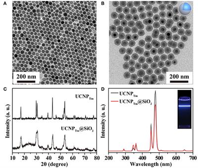 Microscale Self-Assembly of Upconversion Nanoparticles Driven by Block Copolymer